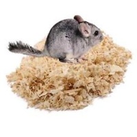 image-category-951