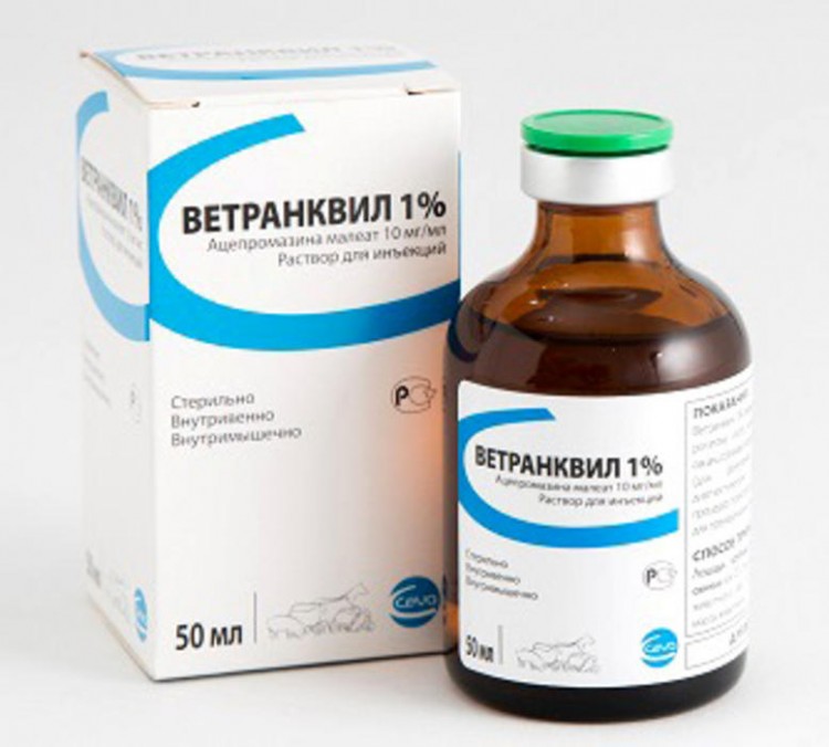 Неуротранк Купить Через Интернет Магазин