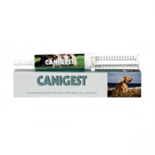 Канигест (Canigest) шприц 15мл добавка для здорового пищеварения собак и кошек 