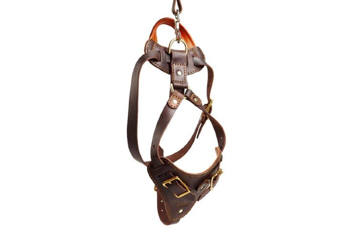 Шлейка Атака-Комфорт арт. Н-001 латунь  