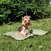 Охлаждающий коврик для собак OSSO 50*70 см