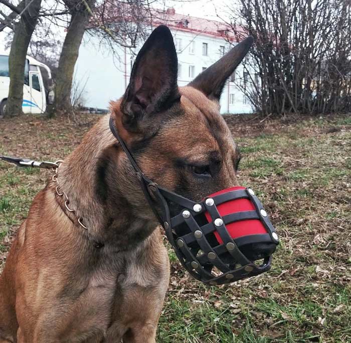 Намордник кожаный Сетка-Универсал арт. M-017  