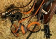Karlie  Rodeo Ошейник для собак  кожаный черный-светло коричневый 30мм* 47см  купить