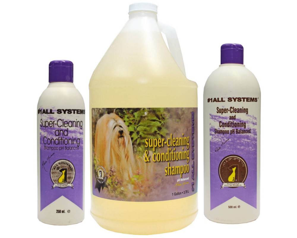 1 All Systems Super Clean & Conditioning Shampoo