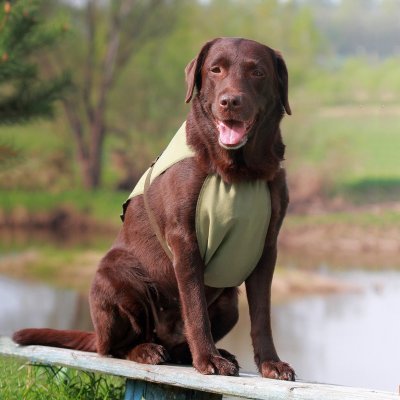 Охлаждающая попона Osso для собак р.70