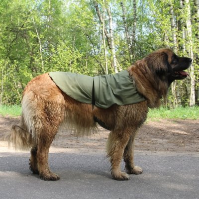 Охлаждающая попона Osso для собак р.80