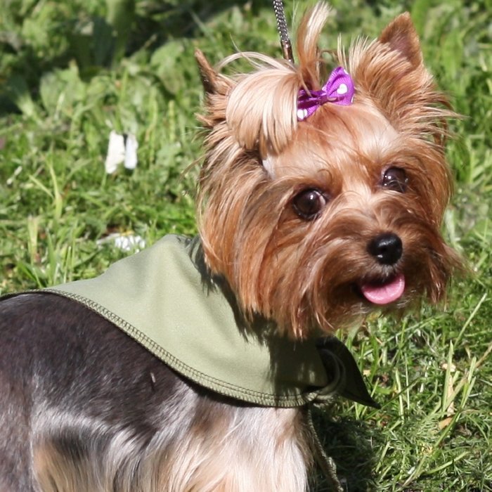 Косынка охлаждающая Osso р.M