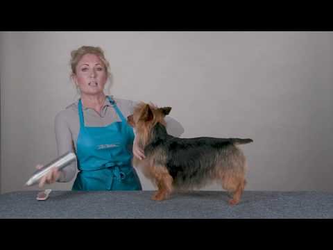 Chris Christensen V-Force Volume Blast Стайлинг спрей для объема