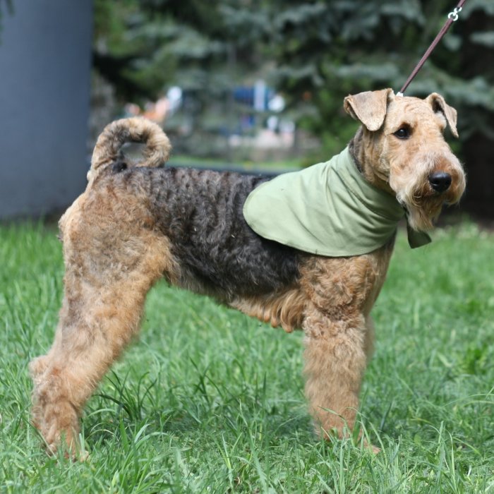 Косынка охлаждающая Osso р.XL