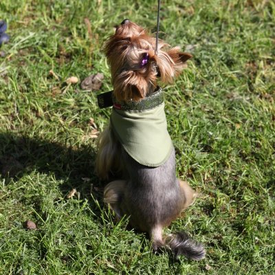 Косынка охлаждающая Osso с липучкой и жаккардовой лентой р.S