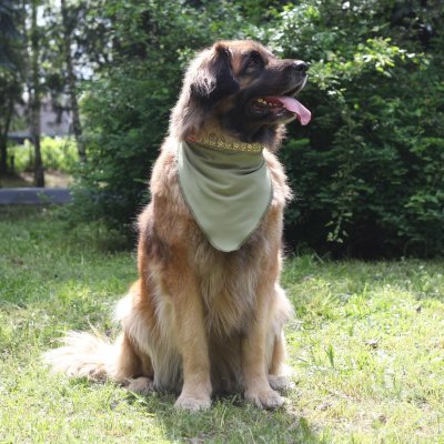 Косынка охлаждающая c липучкой и жаккардовой лентой Osso р.XL