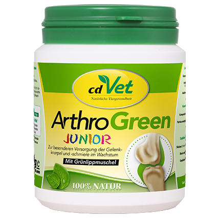 ArthroGreen Junior/АртроГрин Юниор 80г 