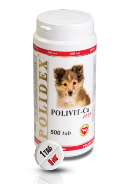 Polidex Polivit-Ca plus/ Поливит Кальций плюс для правильного внутриутробного роста и формирования скелета щенков  купить 