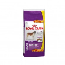 Корм Royal Canin для щенков гигантских пород: 8-18 мес. 15+3 кг, Giant Junior 31