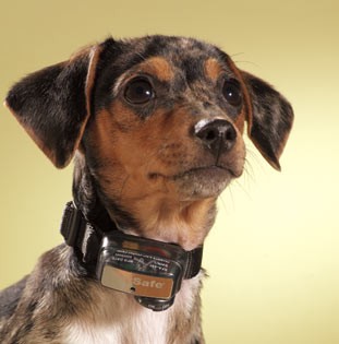 PetSafe Big Dog Deluxe Anti-Bark/ Электроный ошейник-антилай Делюкс д/больших собак купить 