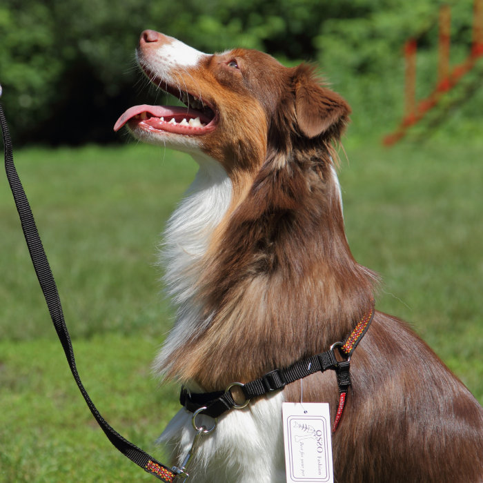 Шлейка корректирующая для собак Osso разм. M  