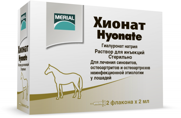 Дог Сити Интернет Магазин Зоотоваров