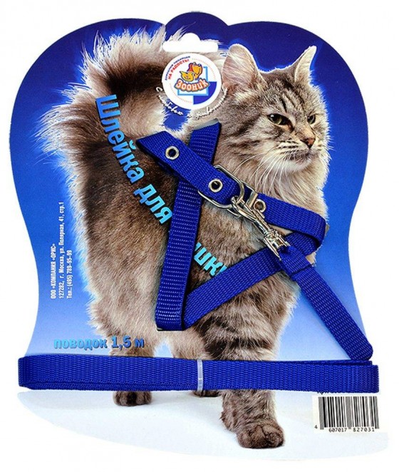 Шлейка-стропа с поводком для кошек, 1,5 м, синяя 