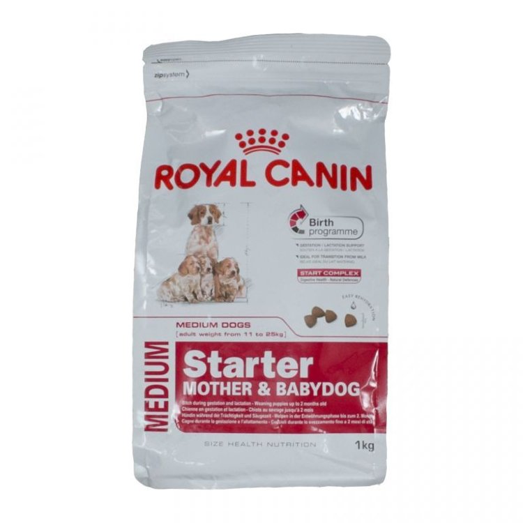 Royal canin starter sales medium