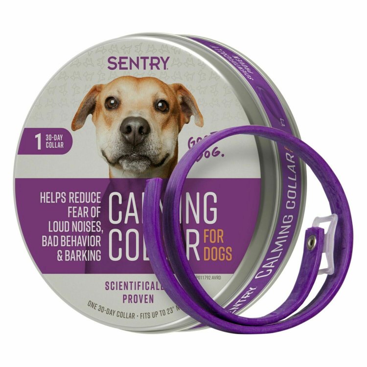 Calming collar sentry store